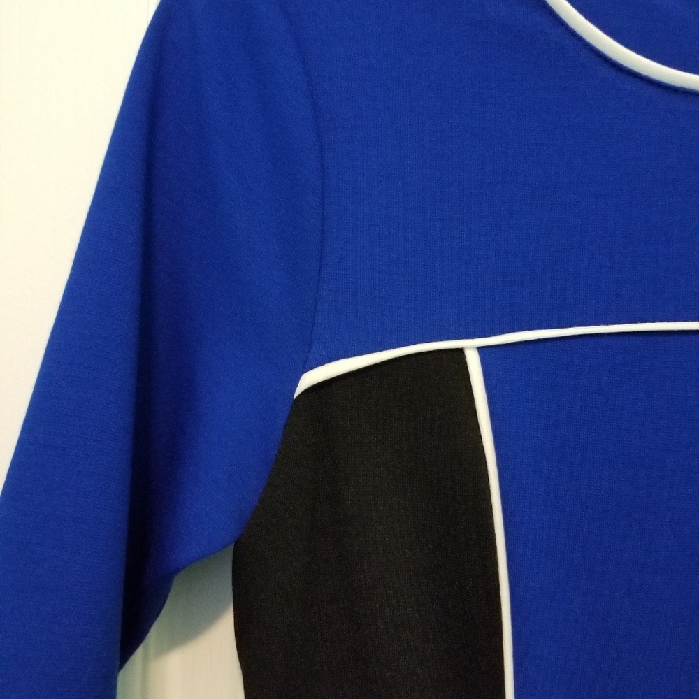 Wyatt Color Block Mini Dress - Picture 4 of 5